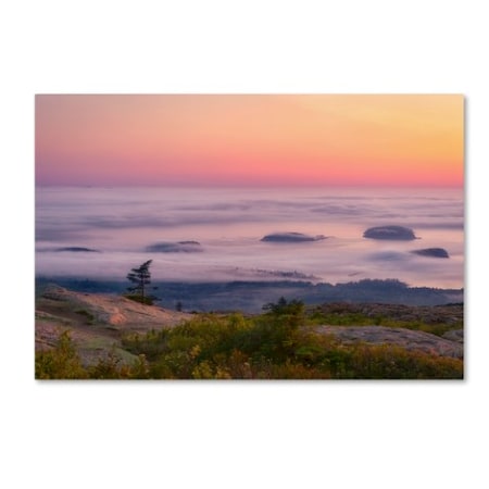 Michael Blanchette Photography 'Islands In The Fog' Canvas Art,16x24